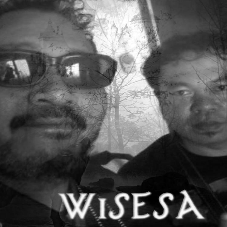 WISESA's avatar image