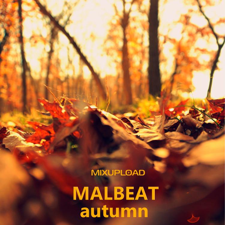Malbeat's avatar image