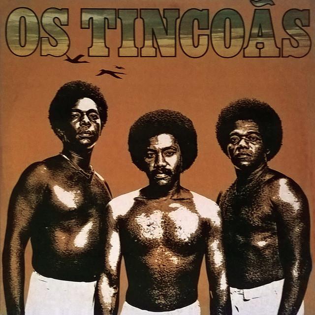 Os Tincoãs's avatar image