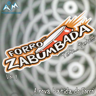 Palhaço By Forró Zabumbada's cover