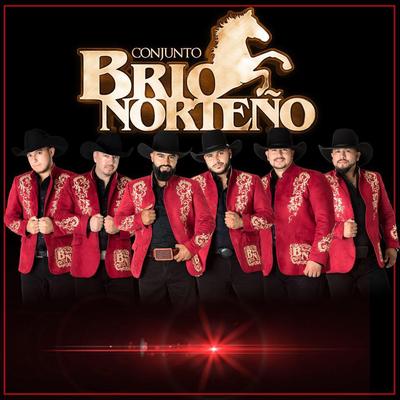 Conjunto Brio Norteño's cover