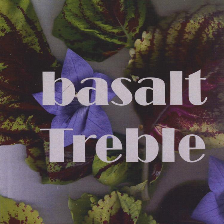 Basalt's avatar image
