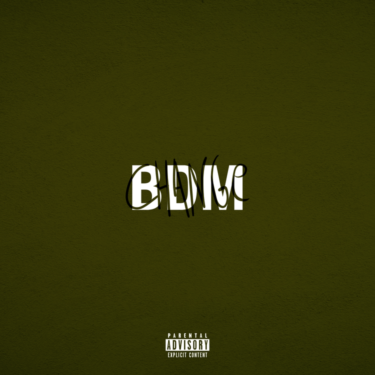 BDM's avatar image