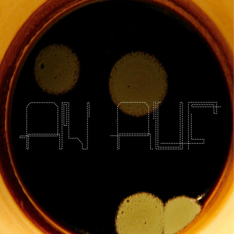 An Auf's avatar image