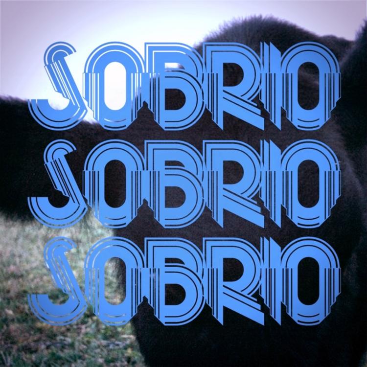 Sobrio's avatar image