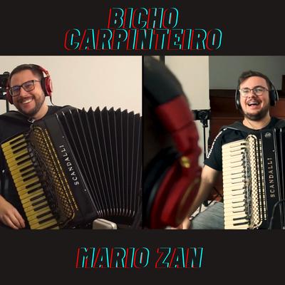 Bicho Carpinteiro By Mario Zan's cover