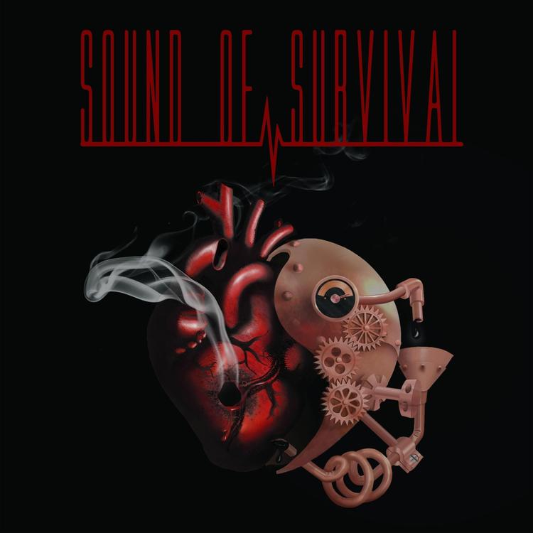 Sound of Survival's avatar image