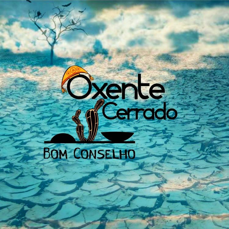 Oxente Cerrado's avatar image