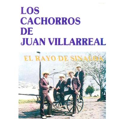 El Rayo de Sinaloa's cover