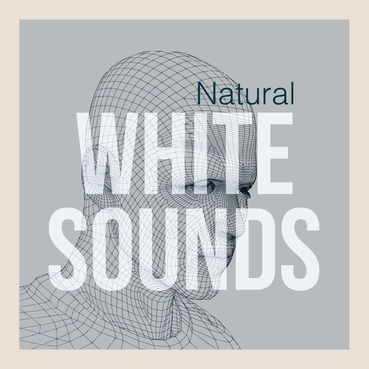 Natural White Noise's avatar image