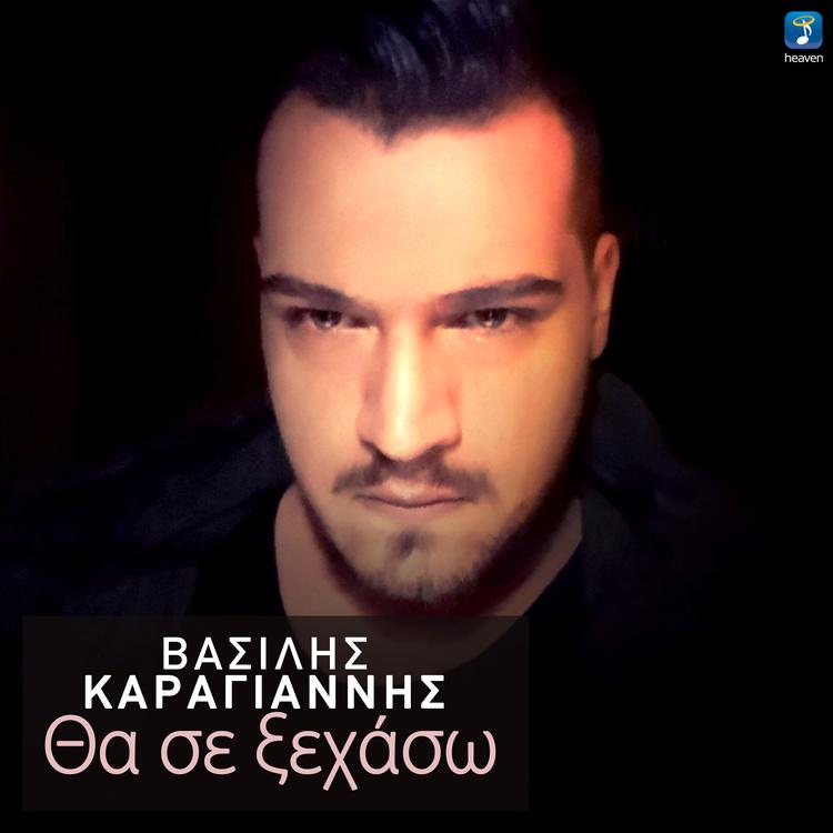 Vasilis Karagiannis's avatar image