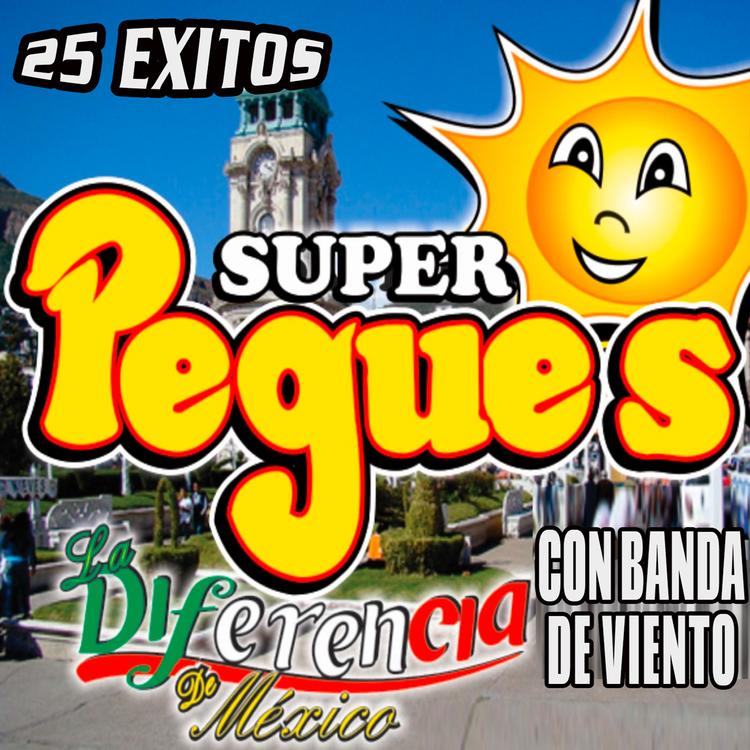 Grupo Super Pegues's avatar image