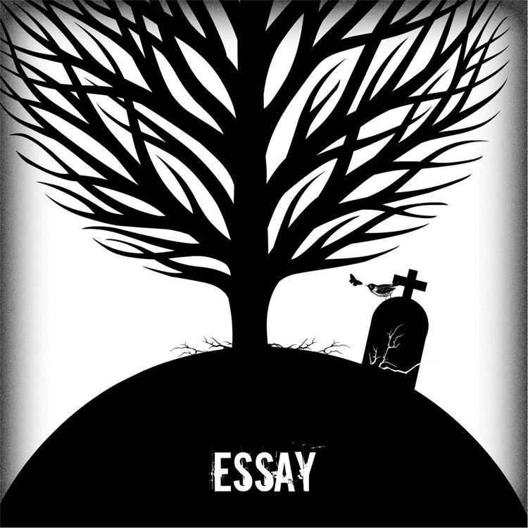 Essay's avatar image