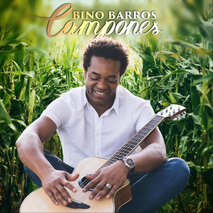 Bino Barros's avatar image