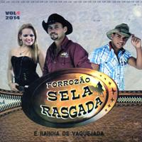 Forrozão Sela Rasgada's avatar cover