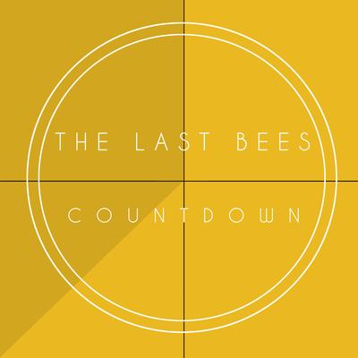 Bad Time By The Last Bees's cover