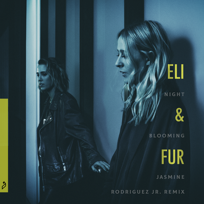 Night Blooming Jasmine (Rodriguez Jr. Remix Edit) By Eli & Fur's cover