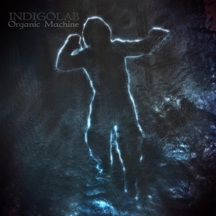 Indigolab's avatar image