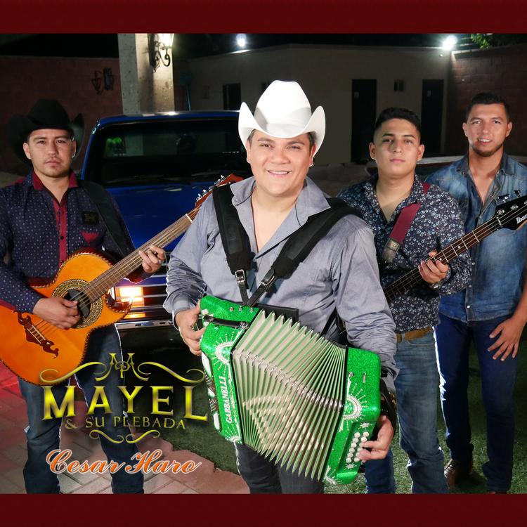 Mayel y su plebada's avatar image