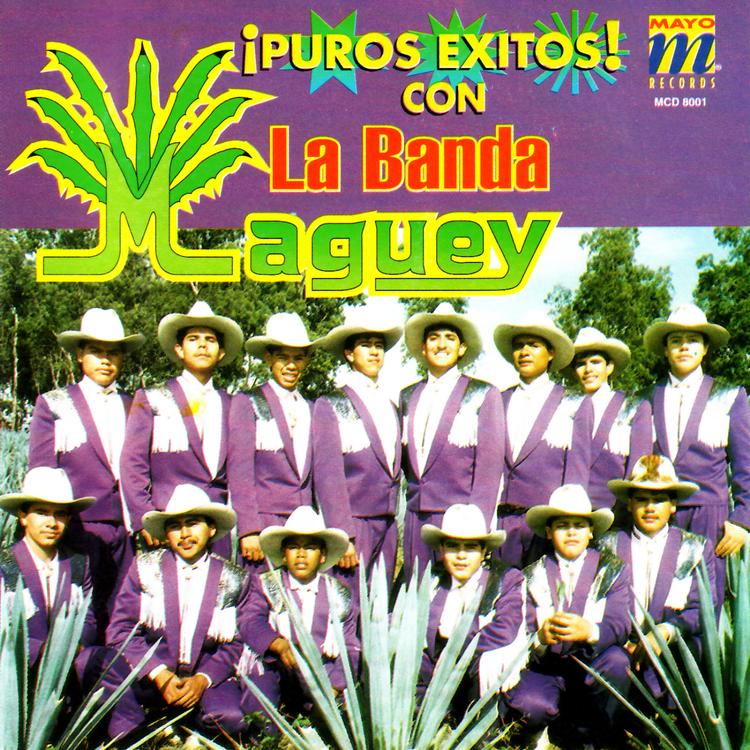 La Banda Maguey's avatar image