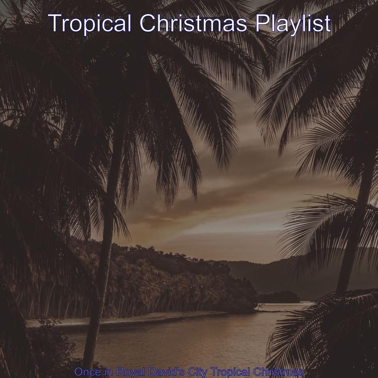 Tropical Christmas Playlist's avatar image