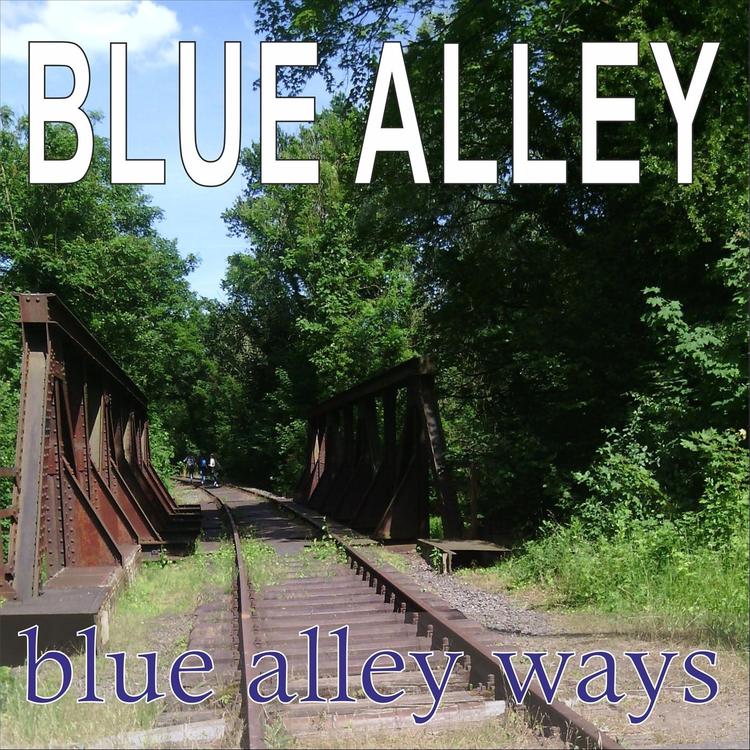 Blue Alley's avatar image