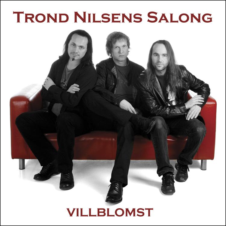 Trond Nilsens Salong's avatar image