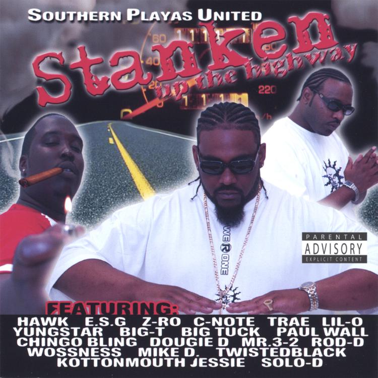 Southern Playas United's avatar image