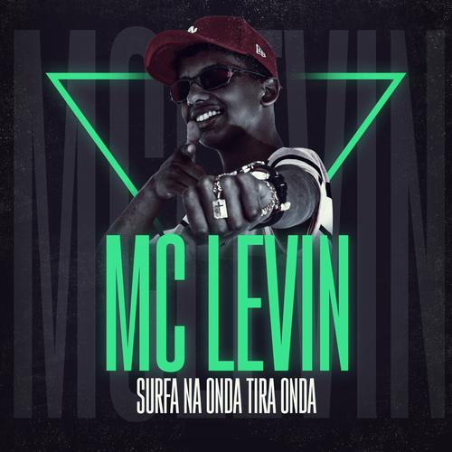 Mc LEVIN🔊's cover