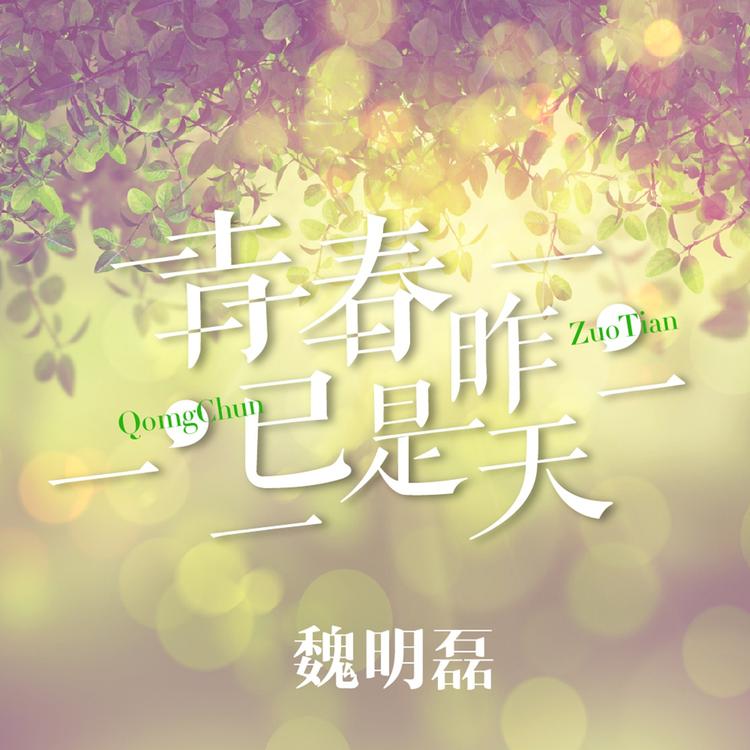 魏明磊's avatar image