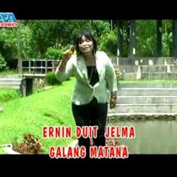 Netty Vera Br Bangun's cover