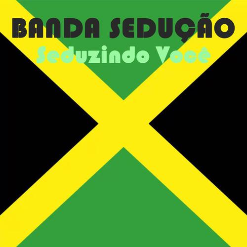 Amor Louco (Reggae Remix)'s cover