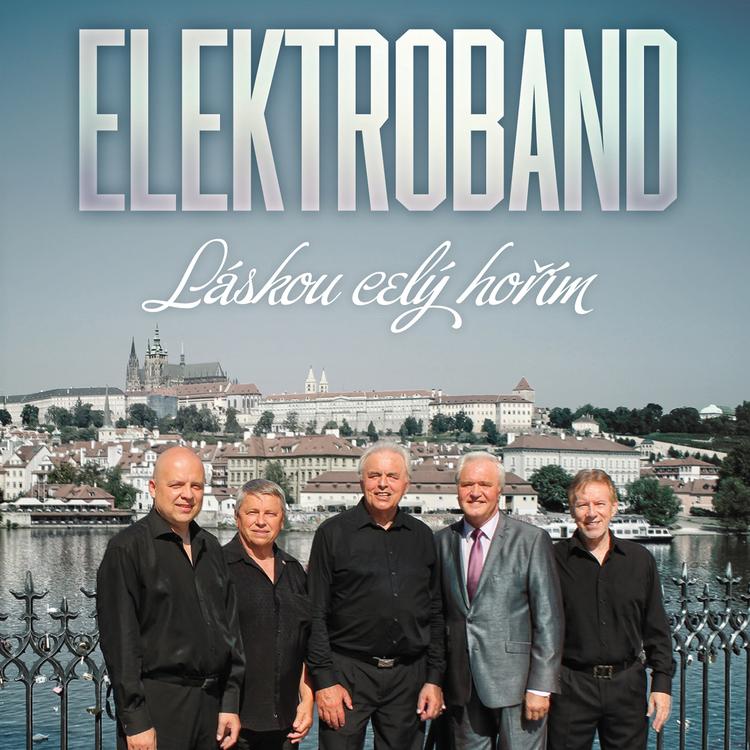 Elektroband's avatar image