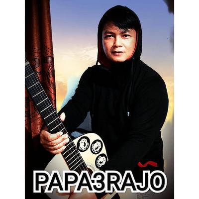 PAPA3RAJO's cover