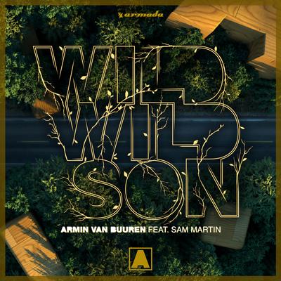 Wild Wild Son's cover