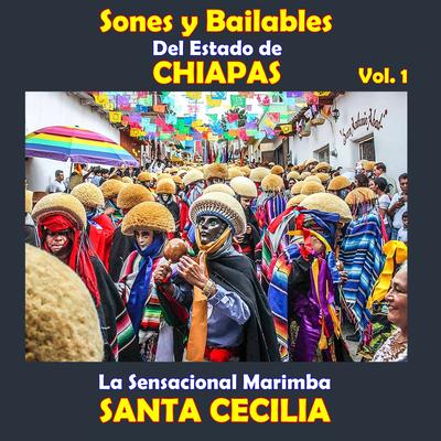 Sones y Bailables del Estado de Chiapas, Vol. 1's cover
