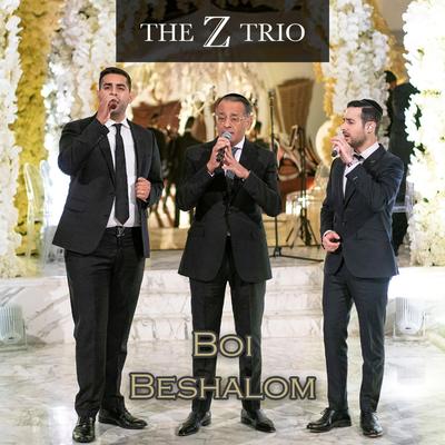 The Z Trio's cover