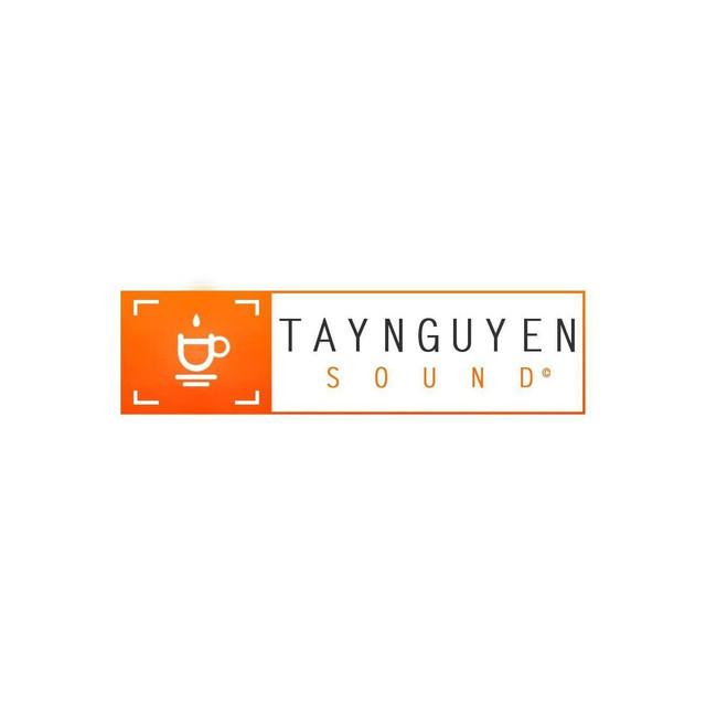 TaynguyenSound's avatar image