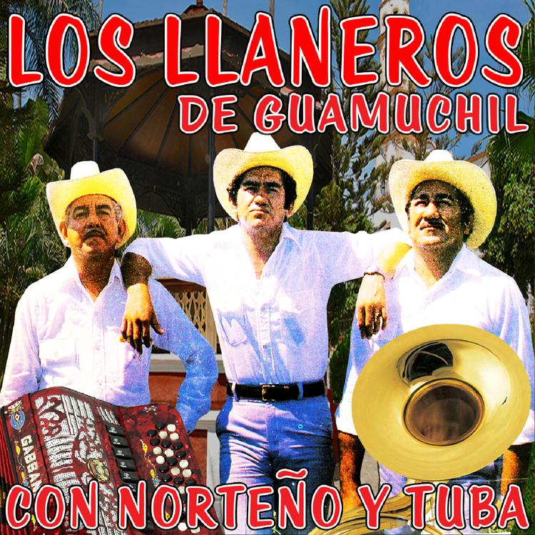 Los Llaneros De Guamuchill's avatar image