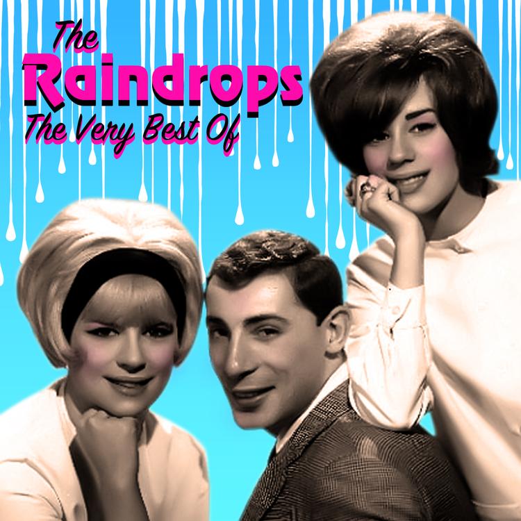The Raindrops's avatar image