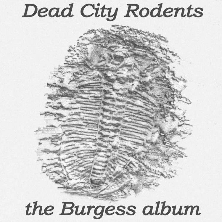 Dead City Rodents's avatar image