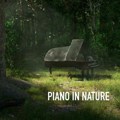 Forest Ambience By Laurent DENIS, Nature Sounds, Sleep Music Lab's cover