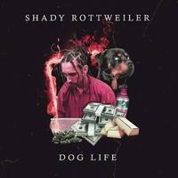 Shady Rottweiler's avatar cover