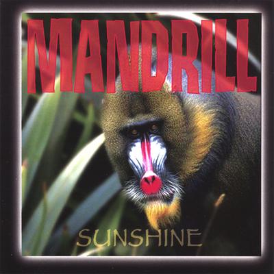Moroccan Nights By Mandrill's cover