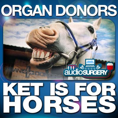 Ket Is for Horses's cover