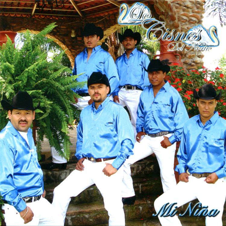 Los Cisnes Del Norte's avatar image