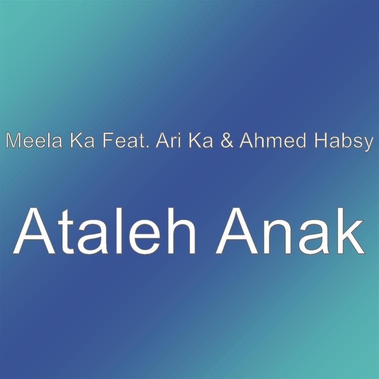 Meela Ka's avatar image