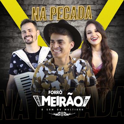 Pagando Com a Solidão By Forró Meirão's cover