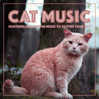 Above and Beyond By RelaxMyCat, Cat Music Dreams, Cat Music Therapy's cover