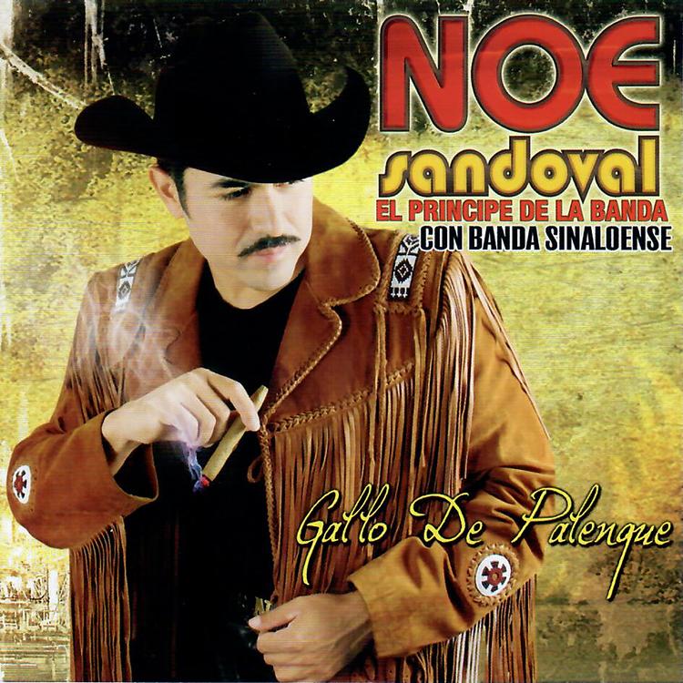 Noe Sandoval's avatar image